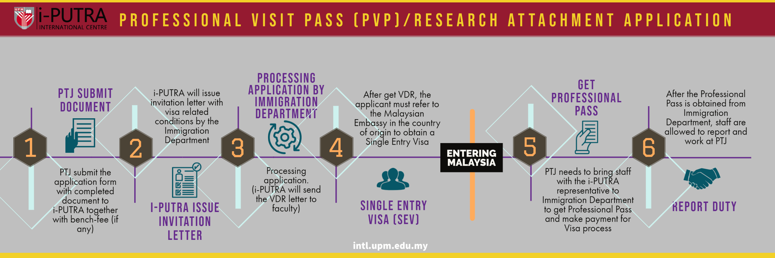 professional visit pass malaysia checklist